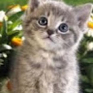 Meet your Posher, Margarita